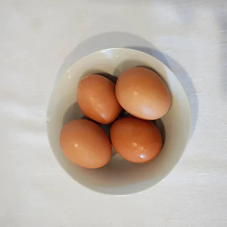 Vukasinovic - Free Parking Penzion Bělehrad