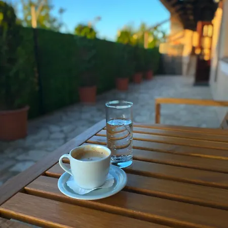 Vukasinovic - Free Parking